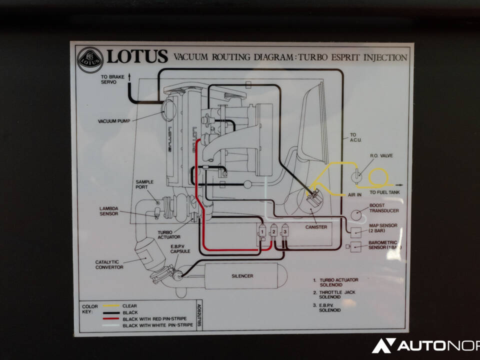 Bild 25/52 von Lotus Esprit SE (1993)