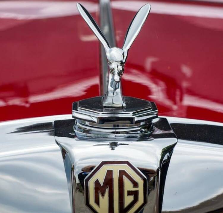 Bild 47/50 von MG TC (1949)