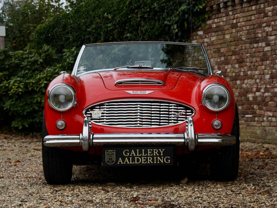 Image 37/50 de Austin-Healey 100/6 (BN4) (1959)