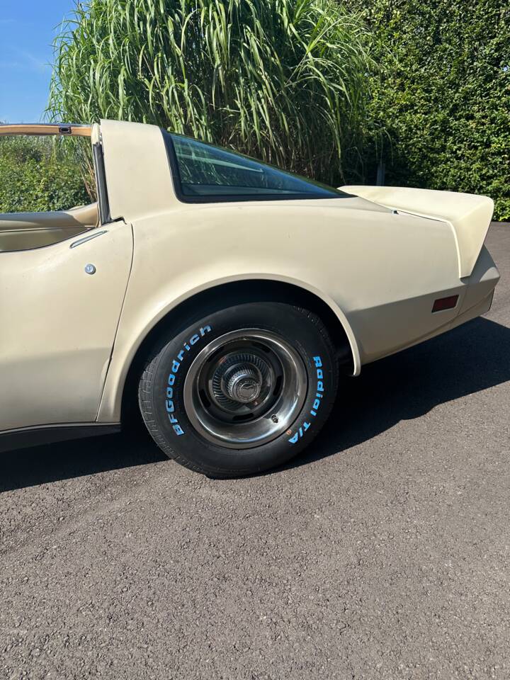 Image 18/21 de Chevrolet Corvette Stingray (1977)