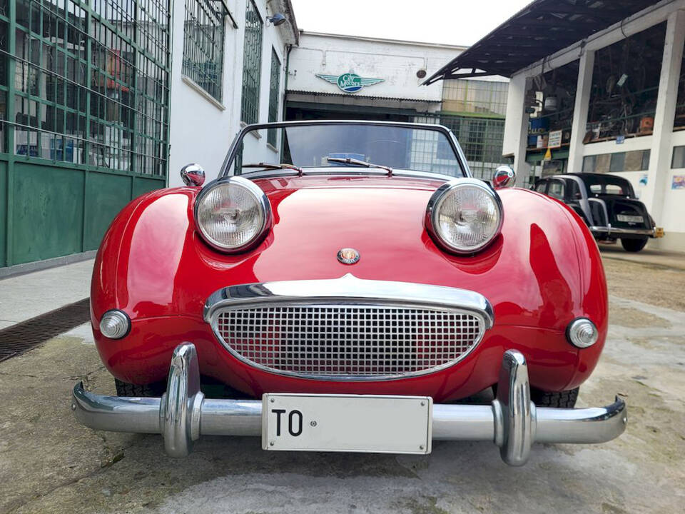 Image 15/51 of Austin-Healey Sprite Mk I (1960)