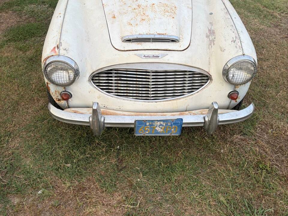 Bild 14/22 von Austin-Healey 3000 Mk II (BN7) (1960)