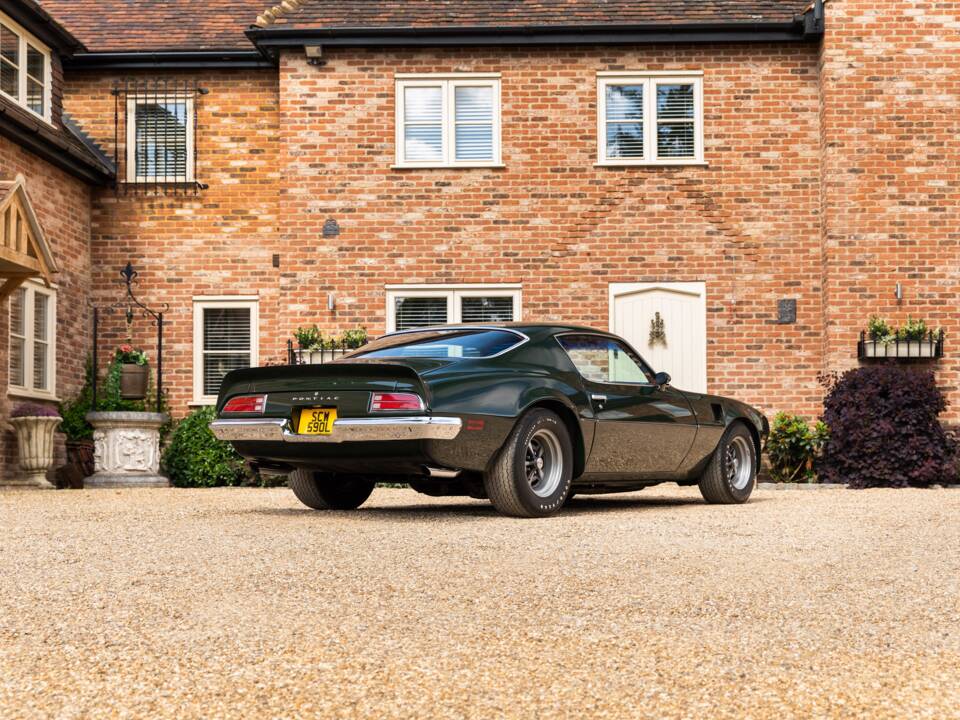Immagine 16/49 di Pontiac Firebird TransAm (1973)
