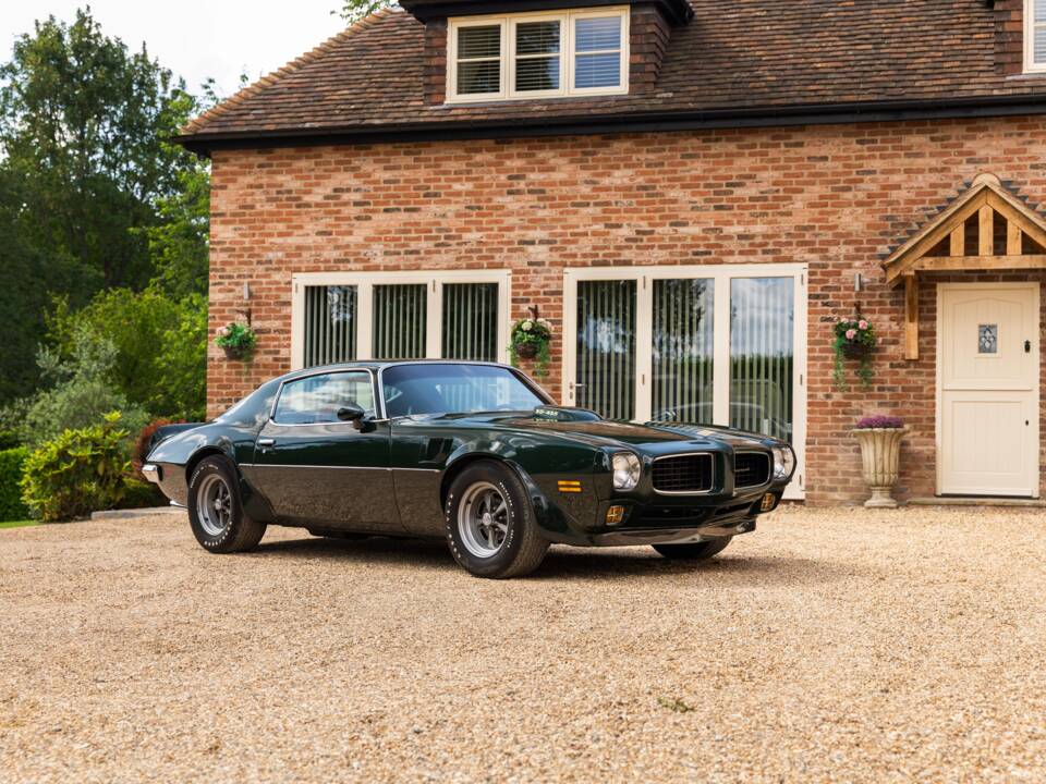 Immagine 25/49 di Pontiac Firebird TransAm (1973)