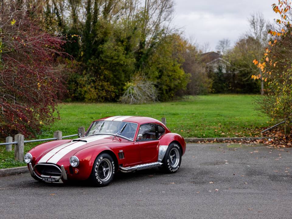 Afbeelding 14/50 van AC Cobra 289 (2000)