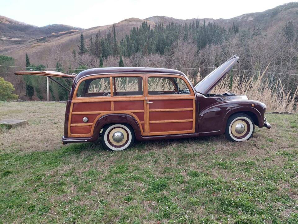 Image 25/93 of FIAT 1100-103 Familiare Viotti (1949)