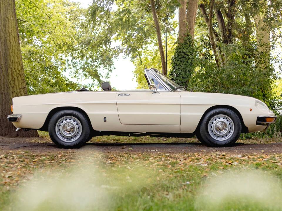 Immagine 2/50 di Alfa Romeo 2000 Spider Veloce (1980)