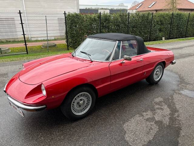 Afbeelding 13/14 van Alfa Romeo 1600 Spider (1978)