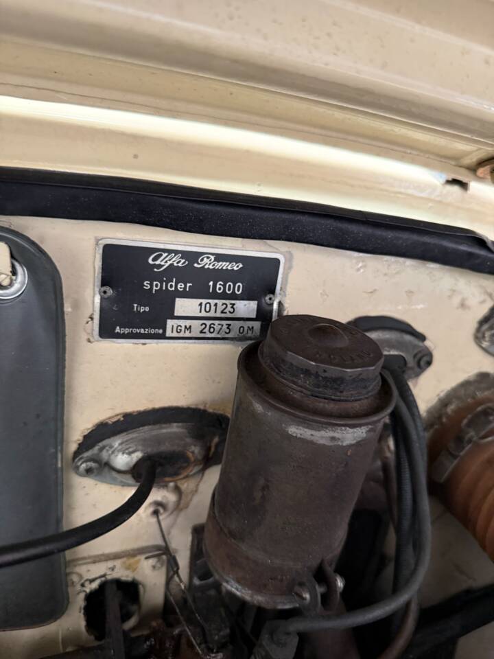 Bild 63/100 von Alfa Romeo Giulia 1600 Spider (1962)