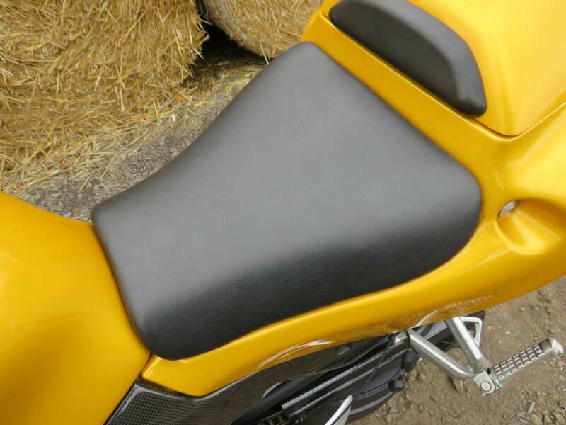 Image 16/39 of Triumph DUMMY (2006)