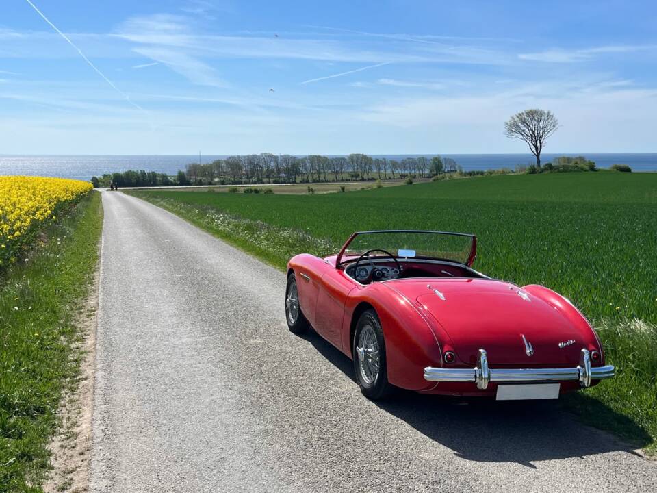 Immagine 21/21 di Austin-Healey 100/4 (BN1) (1954)