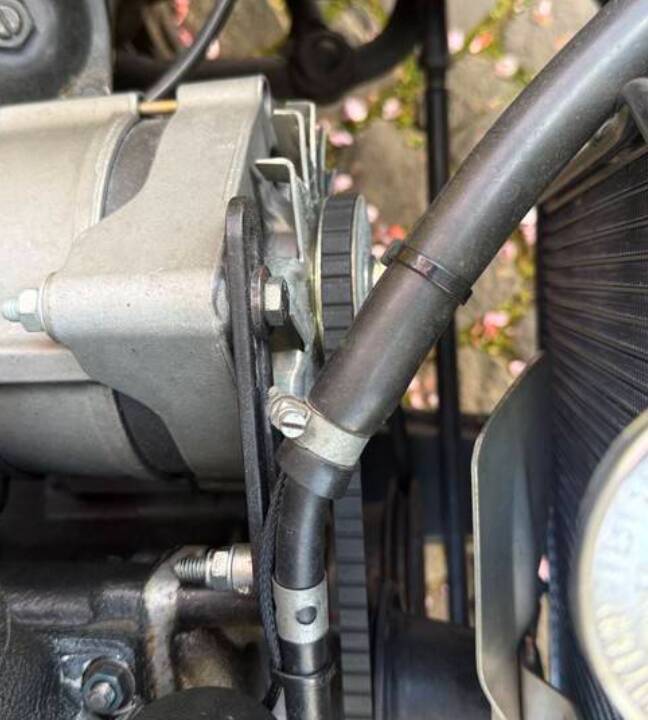 Bild 51/98 von Alfa Romeo 2000 Spider (1960)