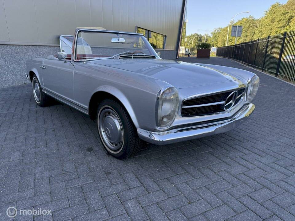 Image 6/27 of Mercedes-Benz 230 SL (1967)