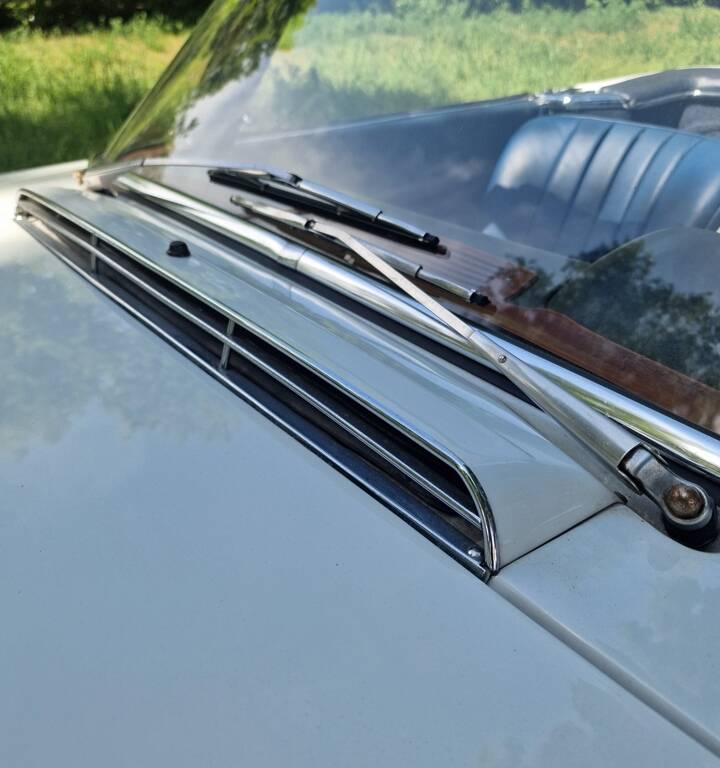 Image 45/100 de Mercedes-Benz 250 SL (1967)