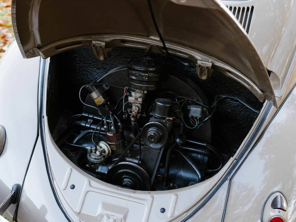 Immagine 3/56 di Volkswagen Maggiolino 1100 Standard "Ovali" (1954)