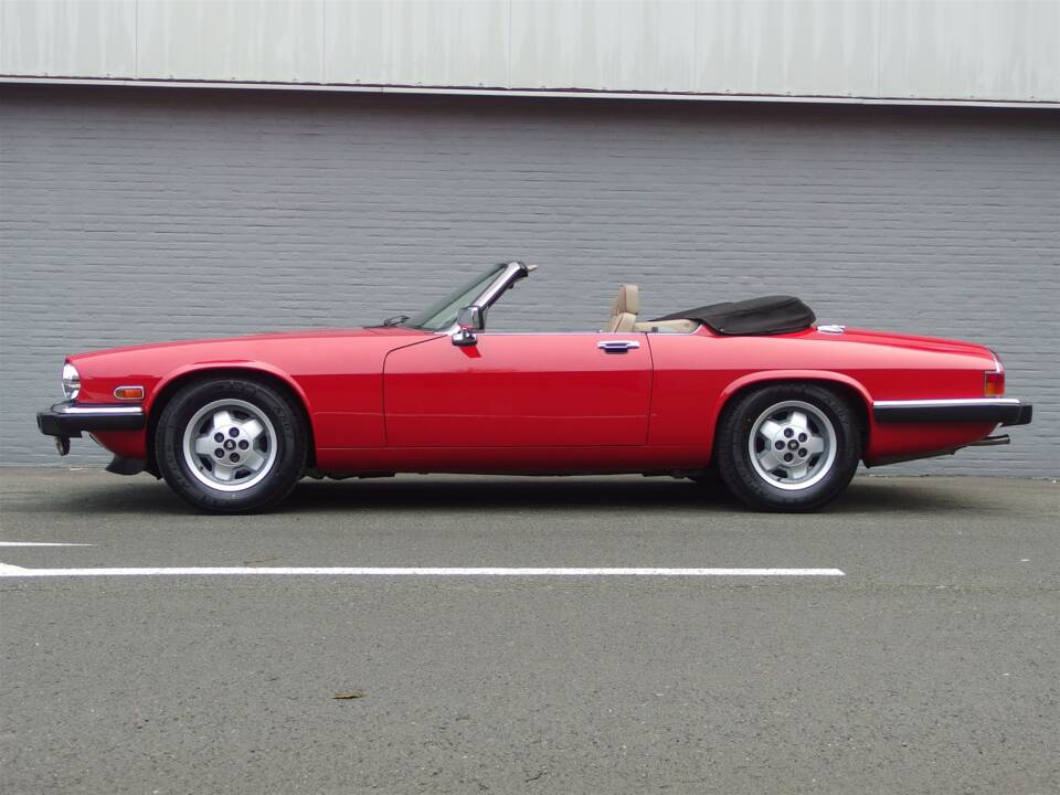 Image 30/99 de Jaguar XJS 5.3 V12 (1990)
