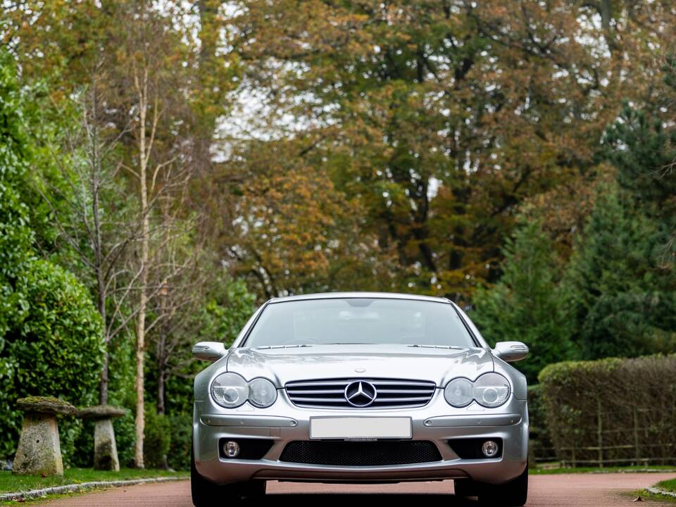 Bild 7/48 von Mercedes-Benz SL 65 AMG (2004)