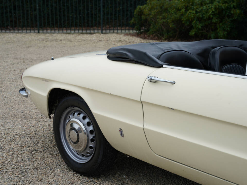 Image 46/50 of Alfa Romeo 1600 Spider Duetto (1967)