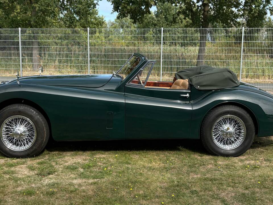 Immagine 11/24 di Jaguar XK 140 SE DHC (1955)