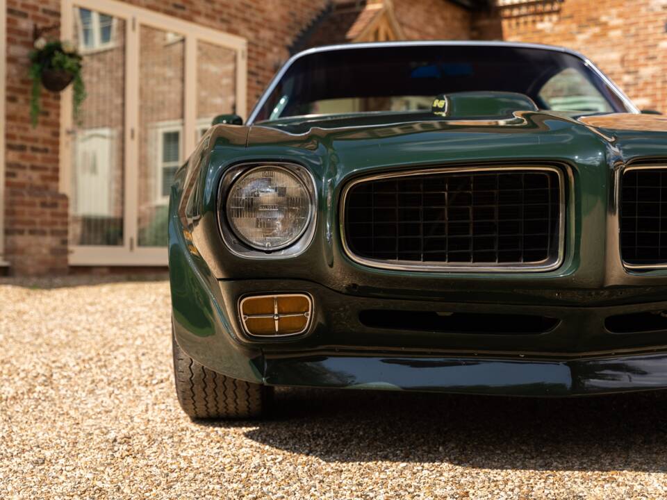 Immagine 23/49 di Pontiac Firebird TransAm (1973)