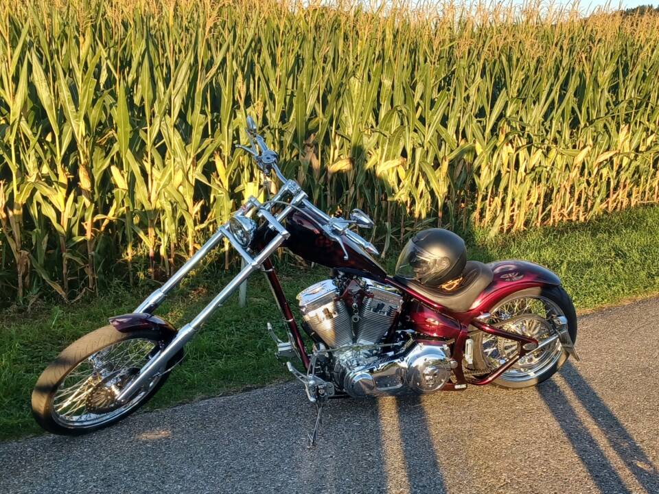 Bild 1/15 von Harley-Davidson DUMMY (2007)