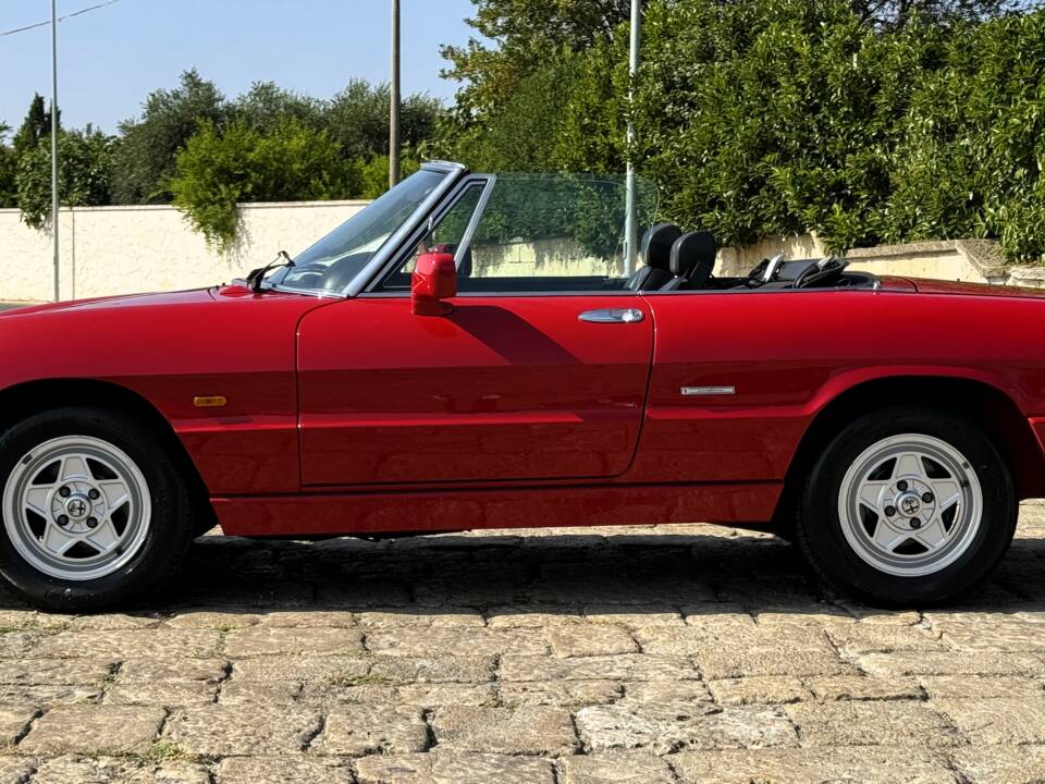 Bild 12/29 von Alfa Romeo 1.6 Spider (1992)