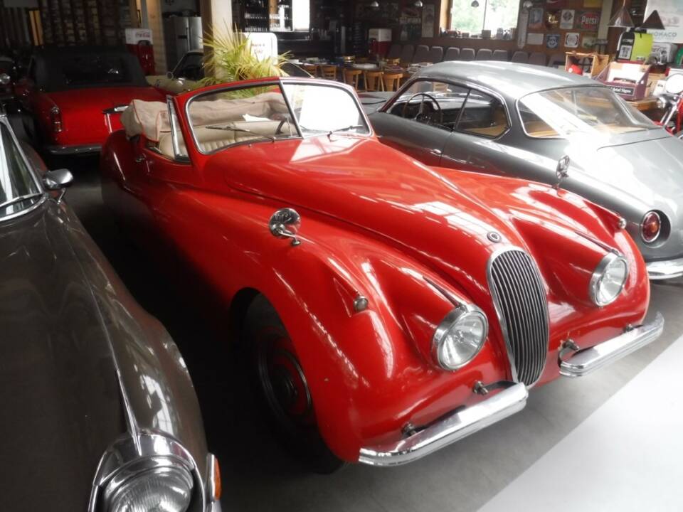 Afbeelding 26/46 van Jaguar XK 120 DHC (1954)