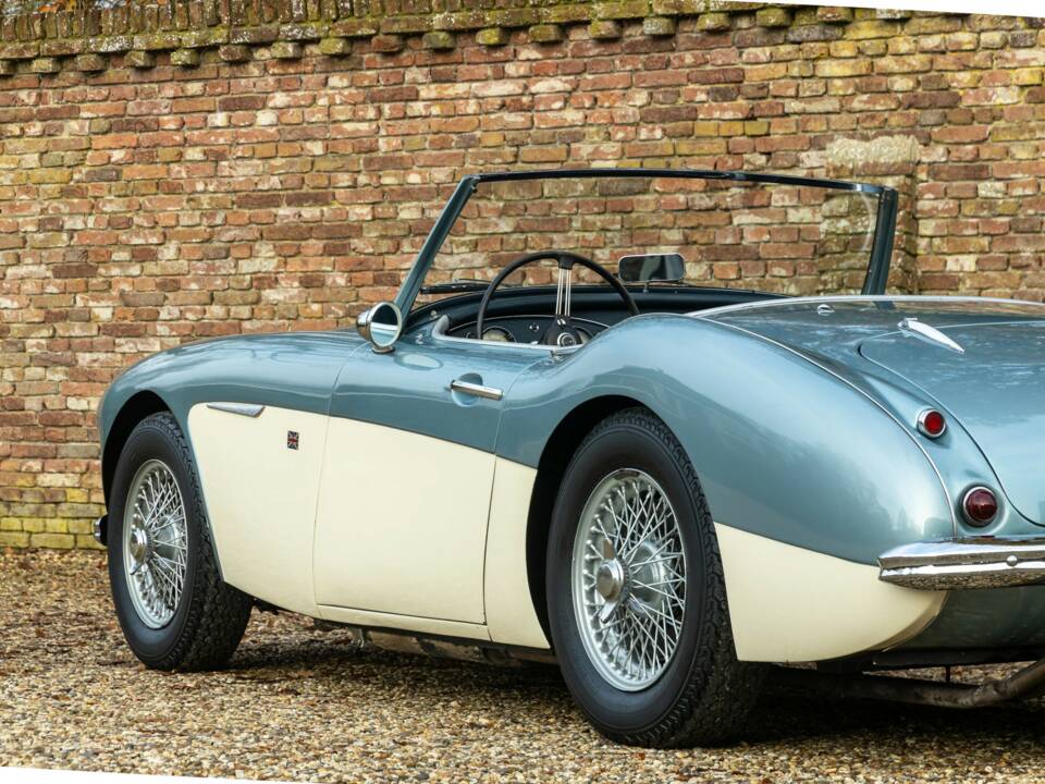 Bild 47/50 von Austin-Healey 3000 Mk I (BN7) (1960)