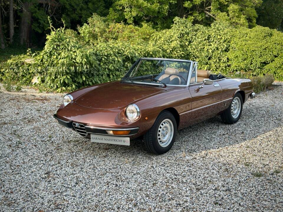 Image 28/100 of Alfa Romeo 2000 Spider Veloce (1980)