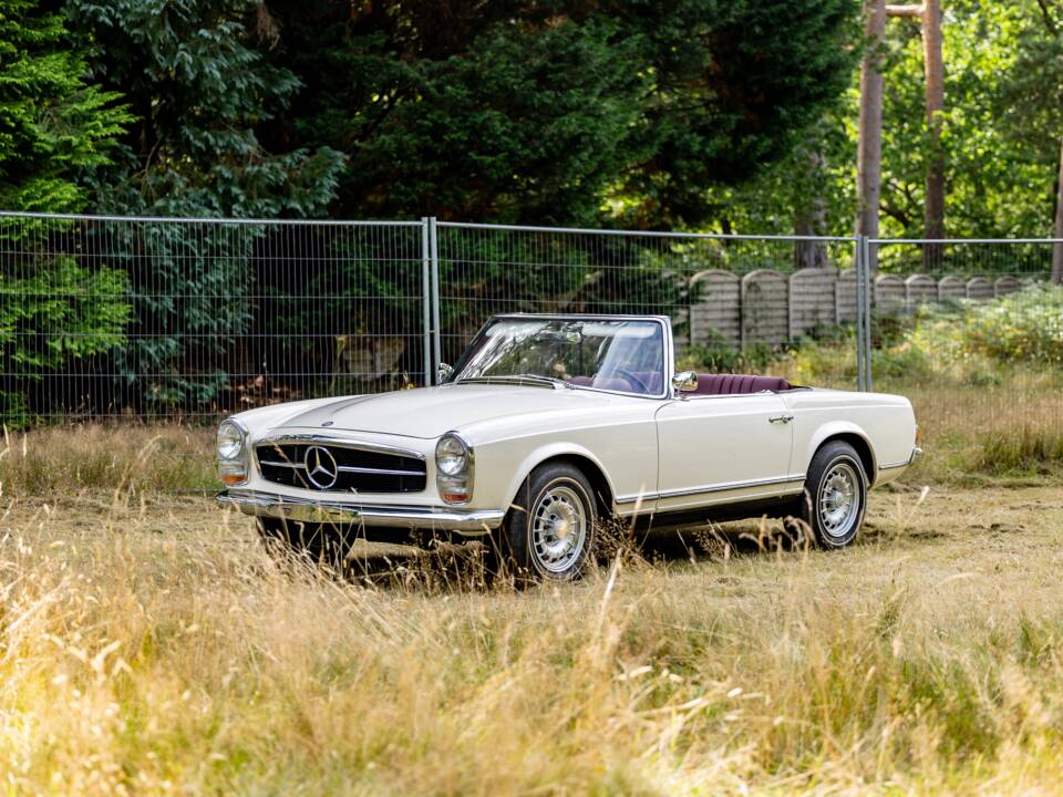 Image 11/46 of Mercedes-Benz 250 SL (1967)