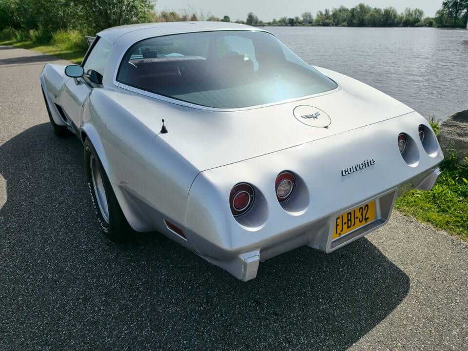 Bild 8/37 von Chevrolet Corvette 5.0L (1979)