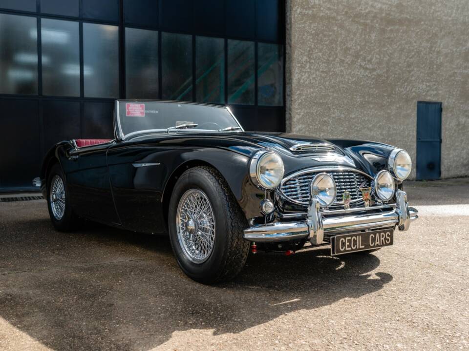 Afbeelding 3/23 van Austin-Healey 3000 Mk I (BN7) (1962)