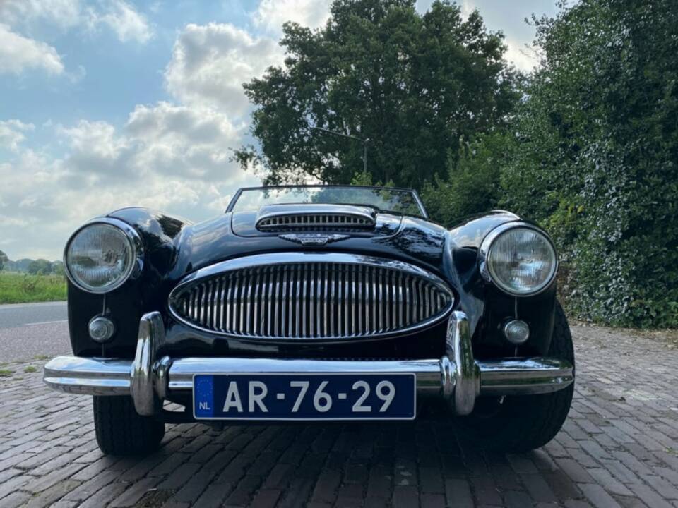 Bild 5/8 von Austin-Healey 3000 Mk II (BN7) (1962)