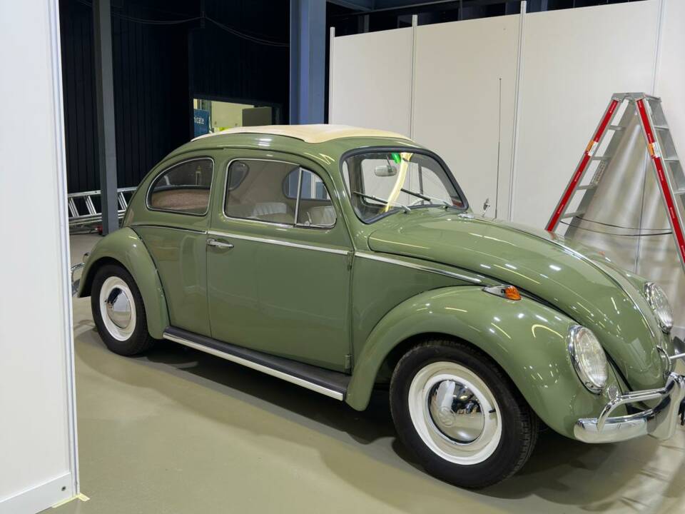 Bild 15/23 von Volkswagen Escarabajo 1200 (1960)