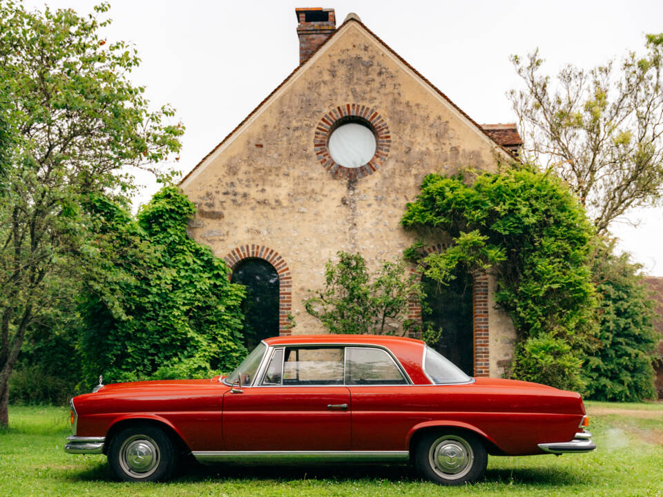 Immagine 22/99 di Mercedes-Benz 250 SE (1967)