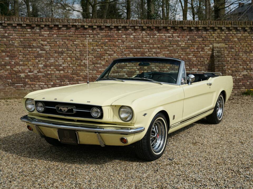 Immagine 24/50 di Ford Mustang 289 (1966)