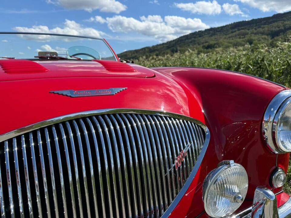 Image 16/23 of Austin-Healey 100/4 (BN1) (1955)