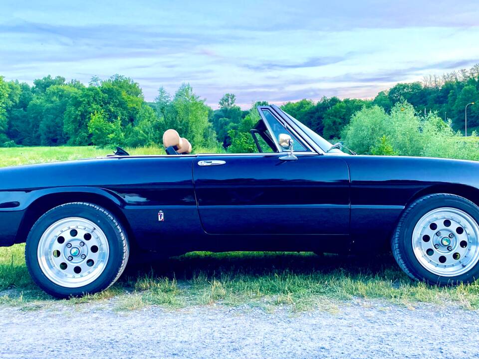 Bild 2/16 von Alfa Romeo 2000 Spider Veloce (1981)