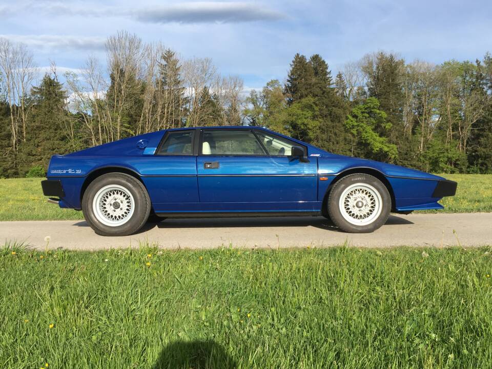 Image 8/46 of Lotus Esprit (1985)