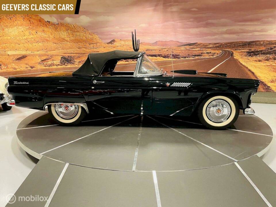 Bild 6/12 von Ford Thunderbird (1955)