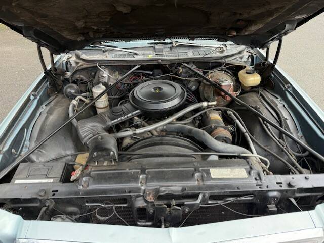 Bild 20/25 von Chevrolet El Camino (1977)
