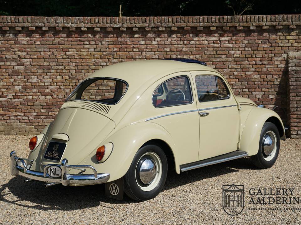 Image 36/50 of Volkswagen Käfer 1200 A (1964)