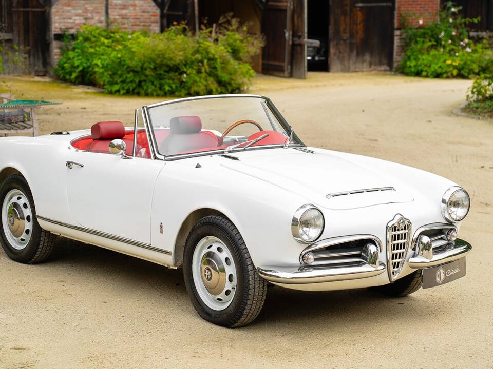 Bild 10/43 von Alfa Romeo Giulia 1600 Spider (1964)