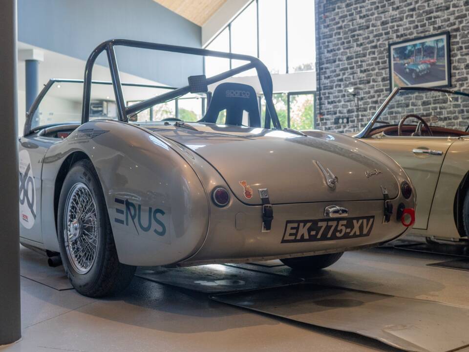 Image 6/24 of Austin-Healey 100/4 (BN2) (1956)