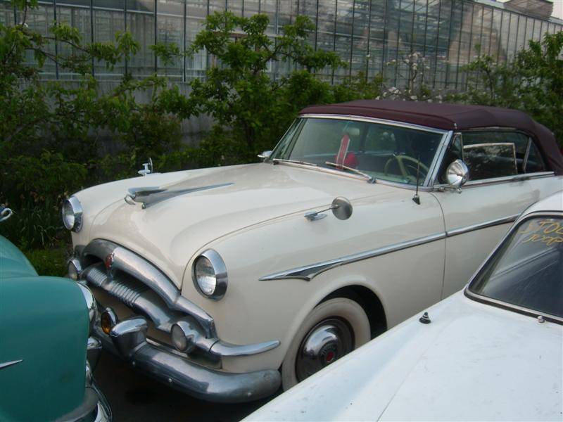 Image 37/44 of Packard 250 (1953)