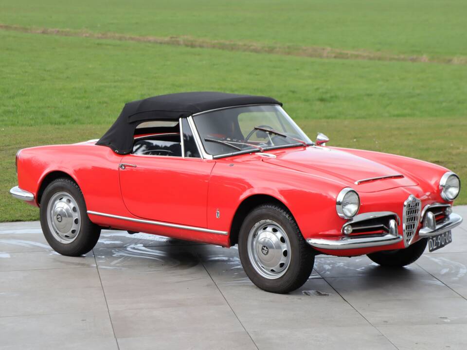 Bild 4/50 von Alfa Romeo Giulia 1600 Spider Veloce (1965)