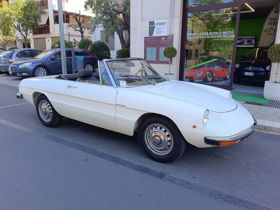 Bild 1/12 von Alfa Romeo Spider 1600 Junior (1975)