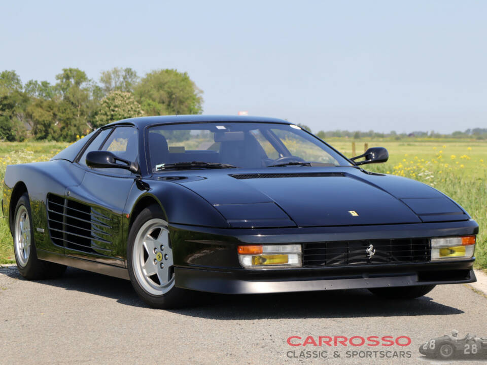 Immagine 25/41 di Ferrari Testarossa (1990)