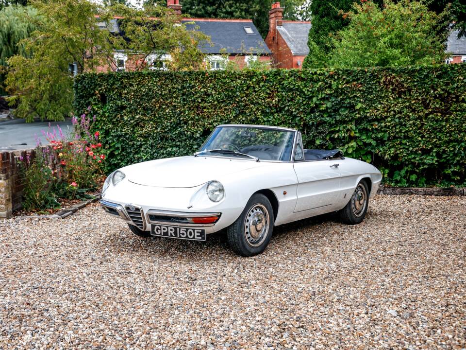 Immagine 19/35 di Alfa Romeo 1600 Spider Duetto (1967)