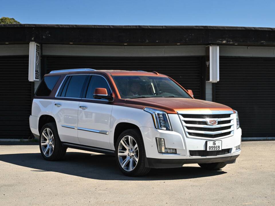 Bild 15/50 von Cadillac Escalade (2019)